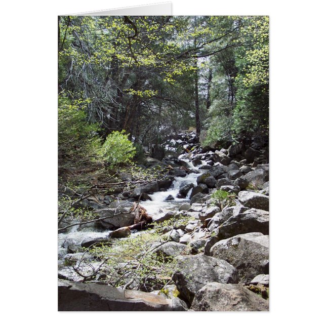 Yosemite in Springtime: Bridalveil Falls Trail (Vorne)