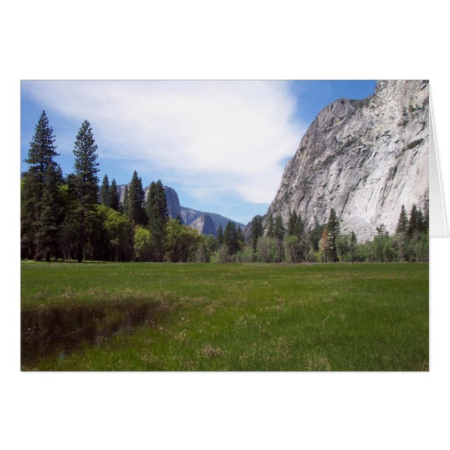 Yosemite in Springtime: Meadow View (Vorderseite (Horizontal))