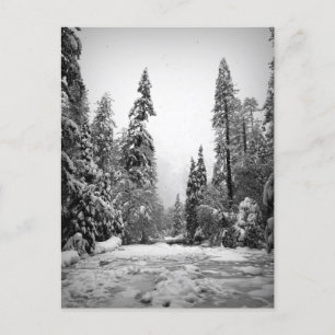 Yosemite National Park, Kalifornien Postkarte