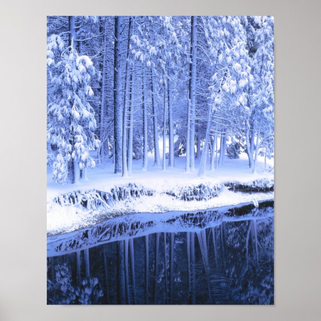 YOSEMITE NATIONAL PARK, KALIFORNIEN. USA. Fresh Poster (Vorne)