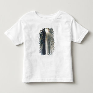 Yosemite National Park - Sonnenstrahlen fließen Kleinkind T-shirt