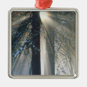Yosemite National Park - Sonnenstrahlen fließen Ornament Aus Metall