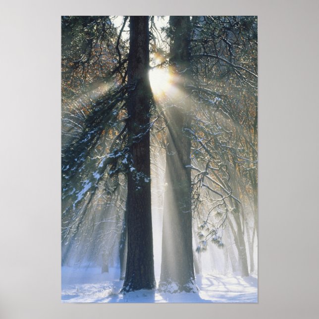 Yosemite National Park - Sonnenstrahlen streaming Poster (Vorne)