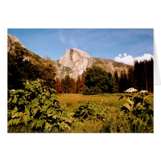 Yosemite National Park Wiesenkarte