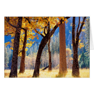 Yosemite-Nationalpark