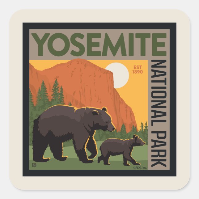 Yosemite-Nationalpark | Bärenfamilie Quadratischer Aufkleber (Vorderseite)
