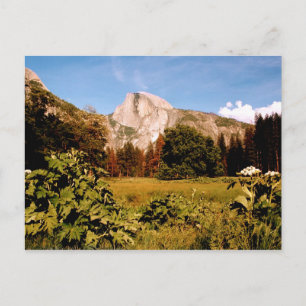Yosemite Nationalpark California Postcard Postkarte