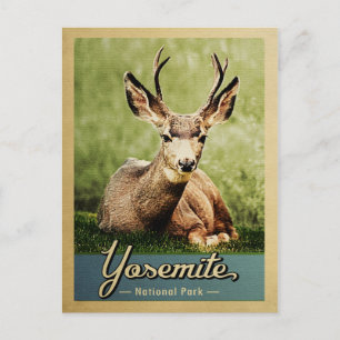 Yosemite Nationalpark Deer Vintage Reise Postkarte