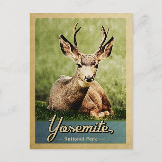 Yosemite Nationalpark Deer Vintage Reise Postkarte (Vorderseite)