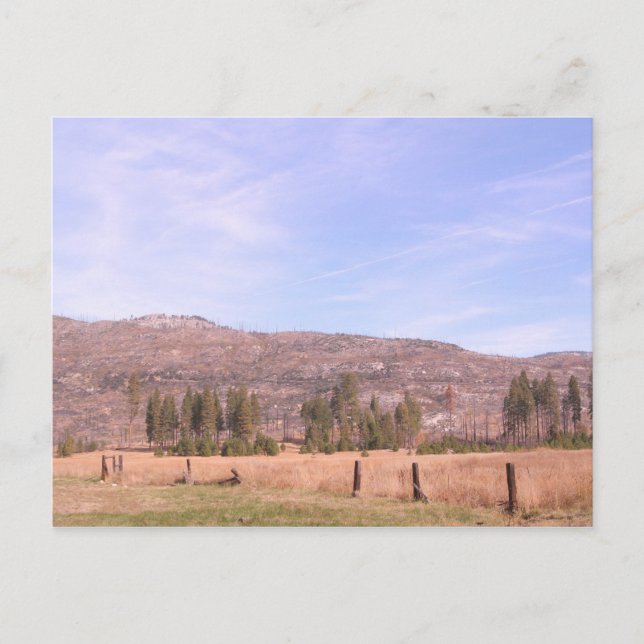 Yosemite Nationalpark in Kalifornien PostCard Postkarte (Vorderseite)