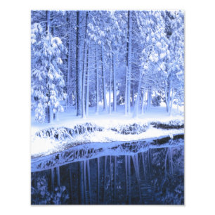 YOSEMITE NATIONALPARK, KALIFORNIEN. USA. Frisch Fotodruck