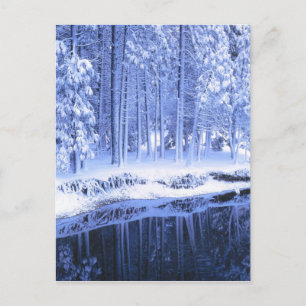 YOSEMITE NATIONALPARK, KALIFORNIEN. USA. Frisch Postkarte