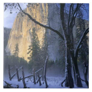 YOSEMITE NATIONALPARK, KALIFORNIEN. USA. Licht Fliese