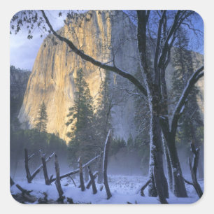 YOSEMITE NATIONALPARK, KALIFORNIEN. USA. Licht Quadratischer Aufkleber