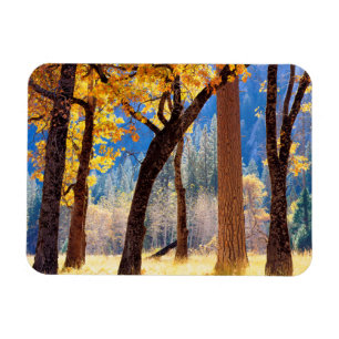 Yosemite-Nationalpark Magnet