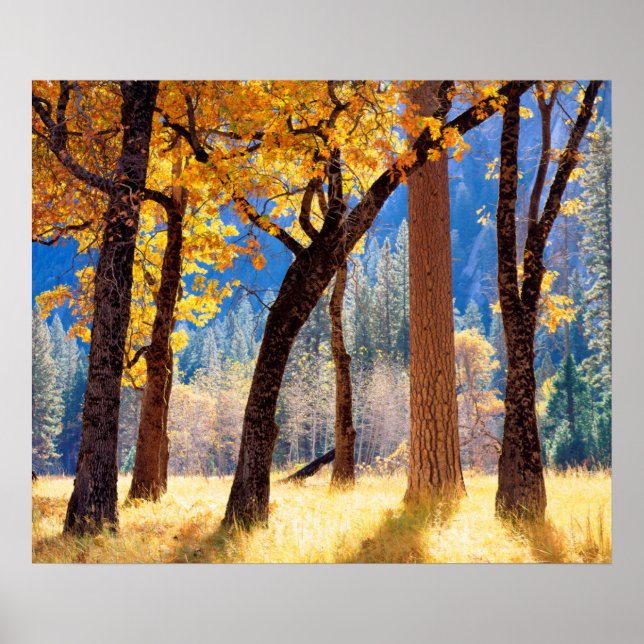 Yosemite-Nationalpark Poster (Vorne)