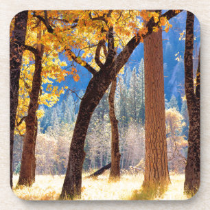 Yosemite-Nationalpark Untersetzer