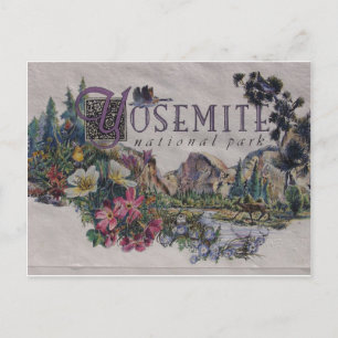 Yosemite Nationalpark Wildlife Postkarte