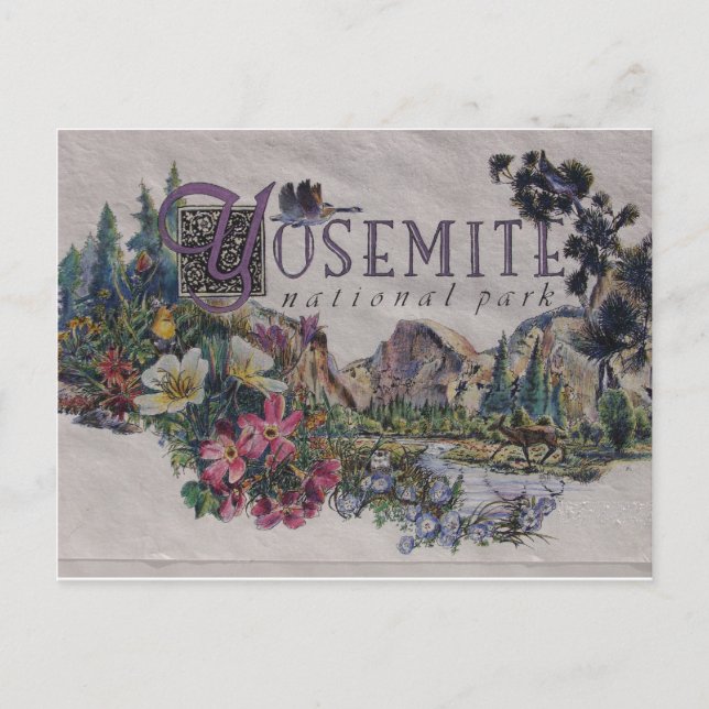 Yosemite Nationalpark Wildlife Postkarte (Vorderseite)