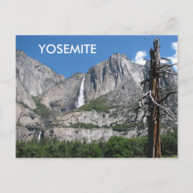 Yosemite Postcard! Postkarte (Vorderseite)