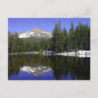 Yosemite Postcard Postkarte