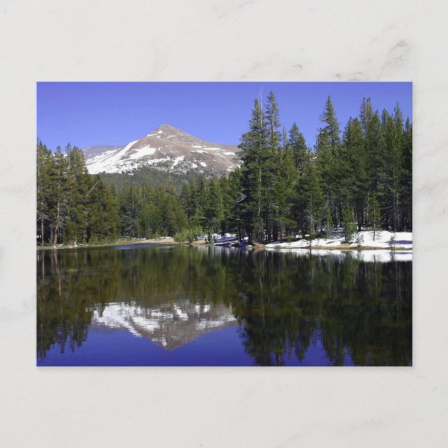 Yosemite Postcard Postkarte (Vorderseite)