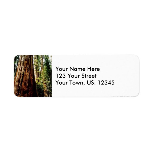 Yosemite Redwoods (Vorne)