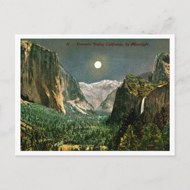 Yosemite Valley by Moonlight 1910s Postkarte (Vorderseite)
