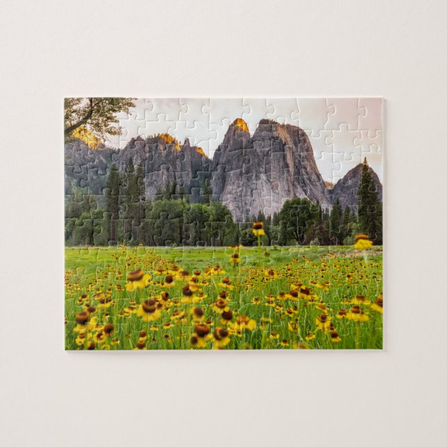Yosemite Valley Wildblumen Puzzle (Horizontal)