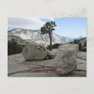 Yosemite, Vereinigte Staaten Vintage-Tourismus Rei Postkarte