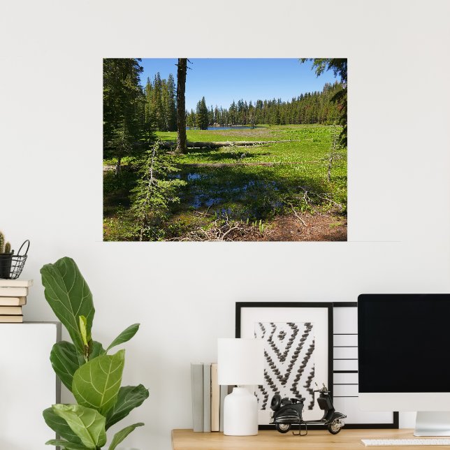 Yosemite-Wiese mit Sternschnuppen Poster (Heimbüro)