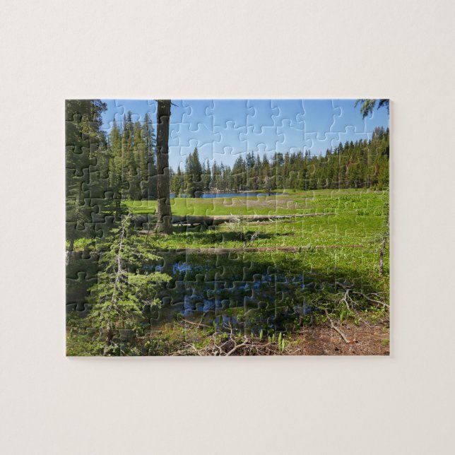 Yosemite-Wiese mit Sternschnuppen Puzzle (Horizontal)