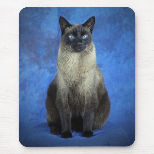 Yoshi das siamesische Miezekatze-Katzen-Kätzchen Mousepad (Vorne)