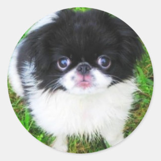 Yoshi Welppy Sticker