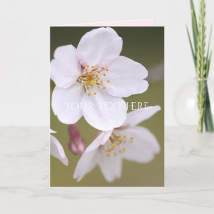 Yoshino Cherry: Faltete Karten