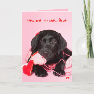 You are my Chew Love Black Lab Feiertagskarte