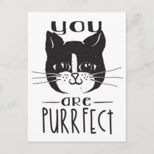 You Are Purrfect Postkarte