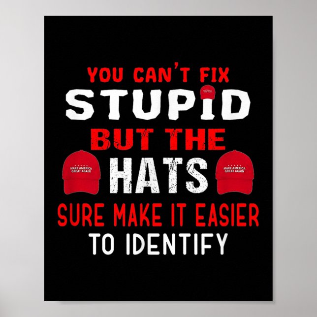 You Can't Fix Stud But The Hats Sure Make It Easy  Poster (Vorne)