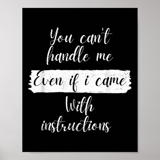 You Can't Handle Me Even If I Came With Instructio Poster (Vorne)