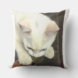 You Got Me!, Funny Anniversary Throw Pillow Kissen