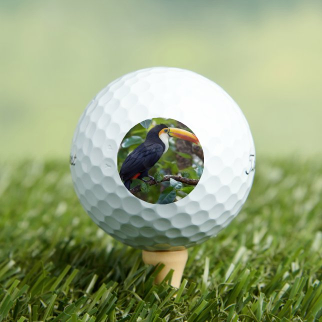 You Toucan Sit In The Treetops, Golfball (Insitu T-Shirt)