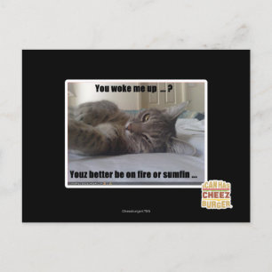 You woke me up postkarte