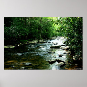 Youghiogheny River Print Poster