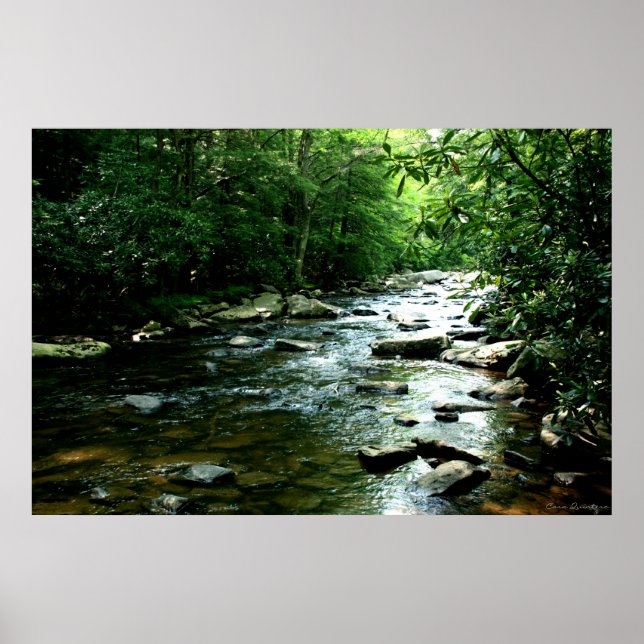 Youghiogheny River Print Poster (Vorne)