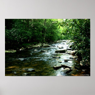 Youghiogheny River Print Poster