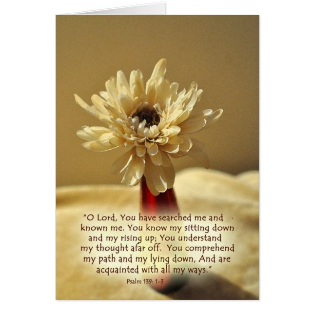 YouhavesearchedmeZazzle (Vorne)