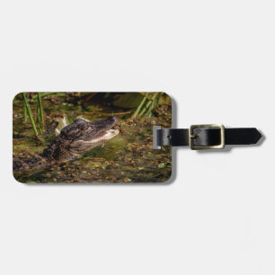 Young Alligator Gepäckanhänger