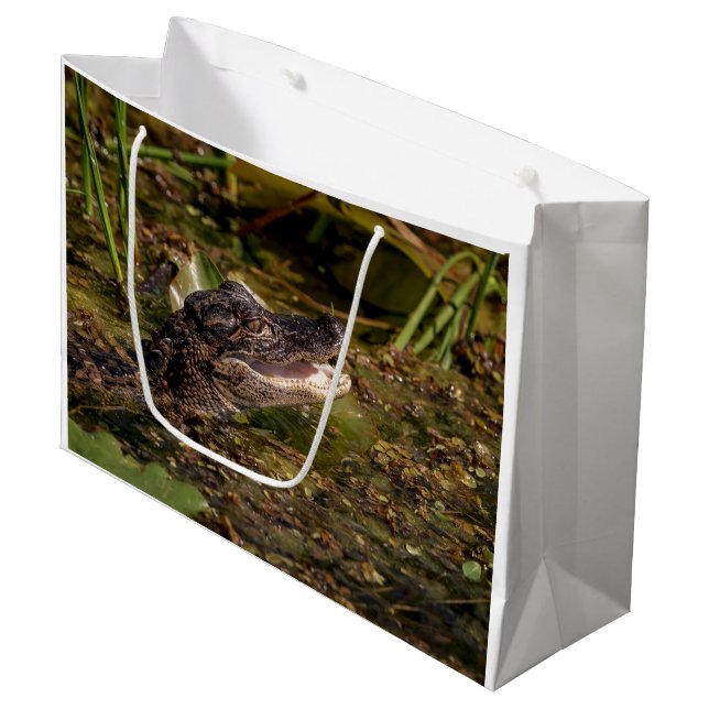 Young Alligator Große Geschenktüte (Vorderseite Schrägansicht)