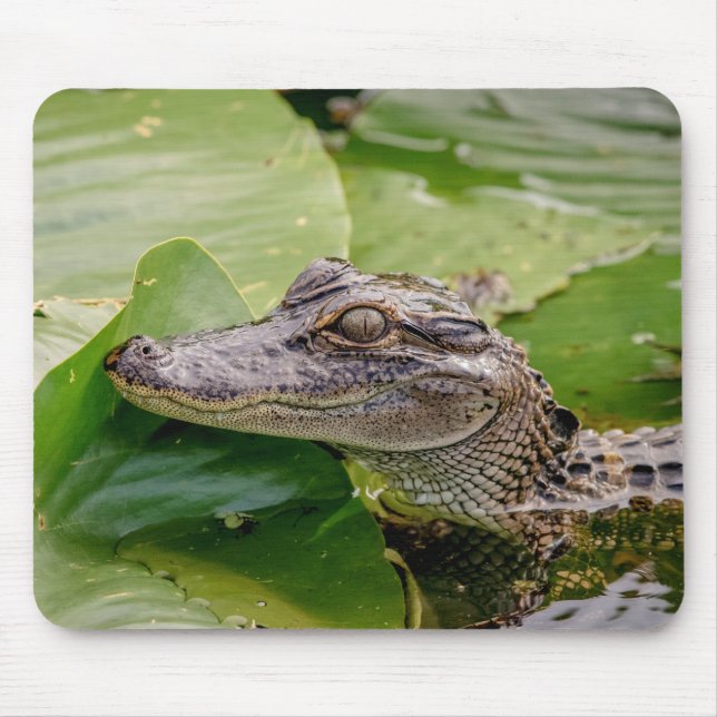 Young Alligator Mousepad (Vorne)