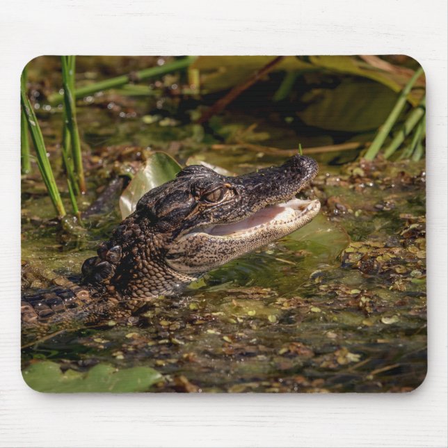 Young Alligator Mousepad (Vorne)